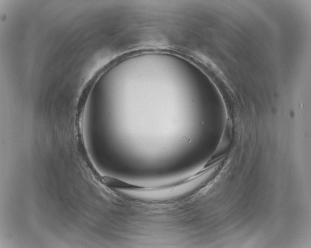 X0000066971168200603271200