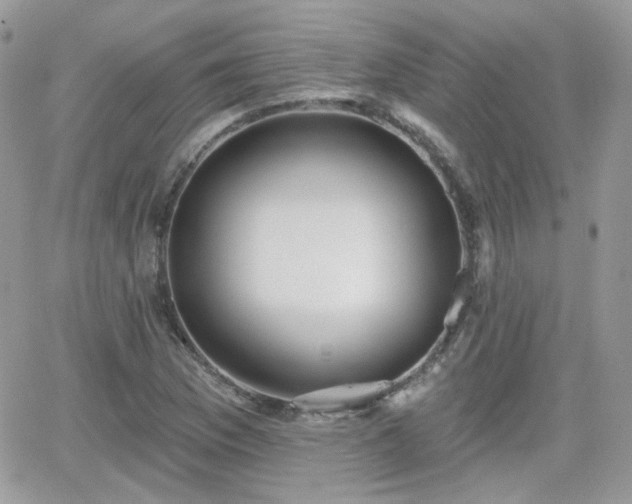 X0000066971169200603271200