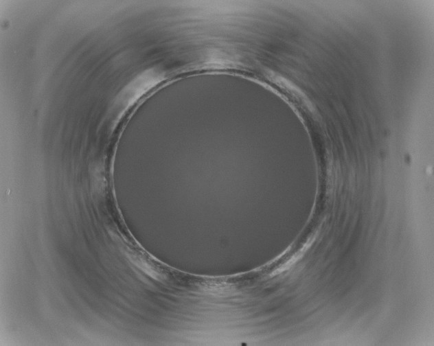 X0000066971170200603271200