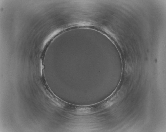 X0000066971171200603271200