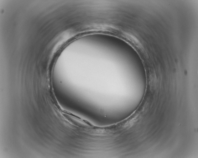 X0000066971172200603271200