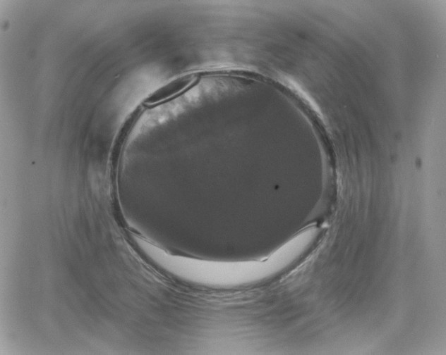 X0000066971173200603271200