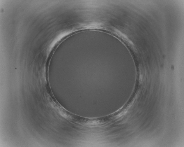 X0000066971174200603271200