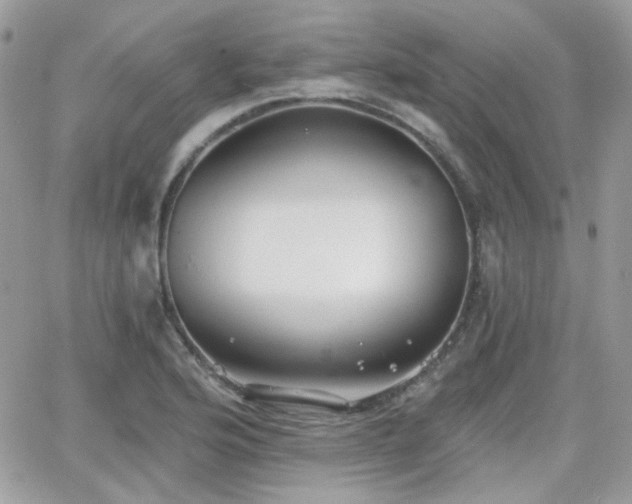 X0000066971176200603271200