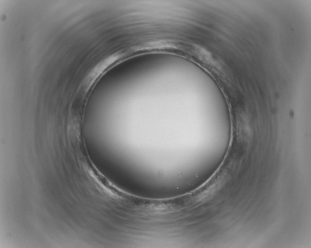 X0000066971177200603271200