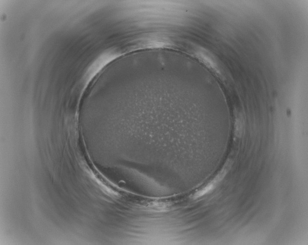 X0000066971178200603271200