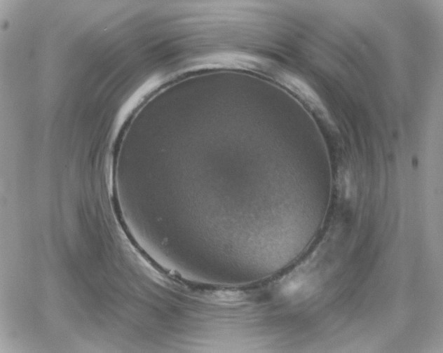 X0000066971180200603271200