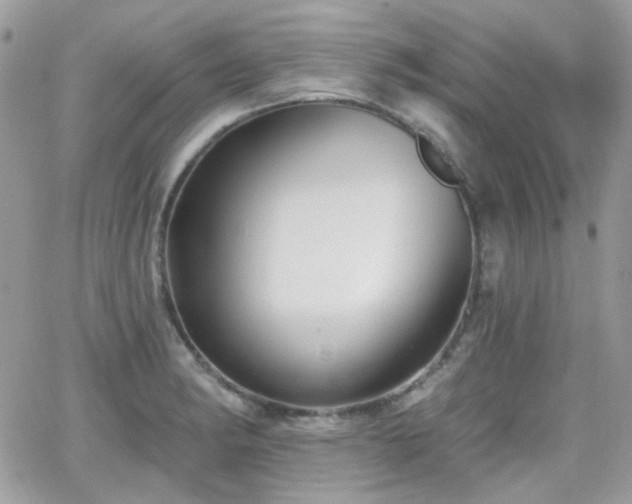 X0000066971182200603271200