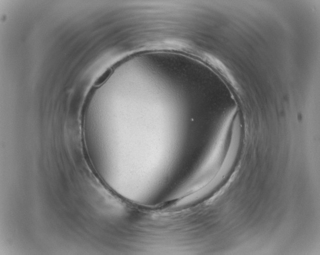 X0000066971184200603271200