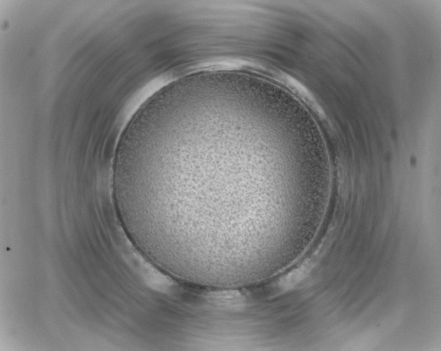 X0000066971186200603271200