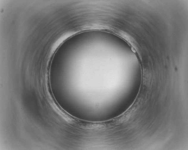 X0000066971187200603271200