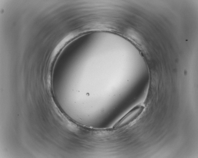 X0000066971188200603271200