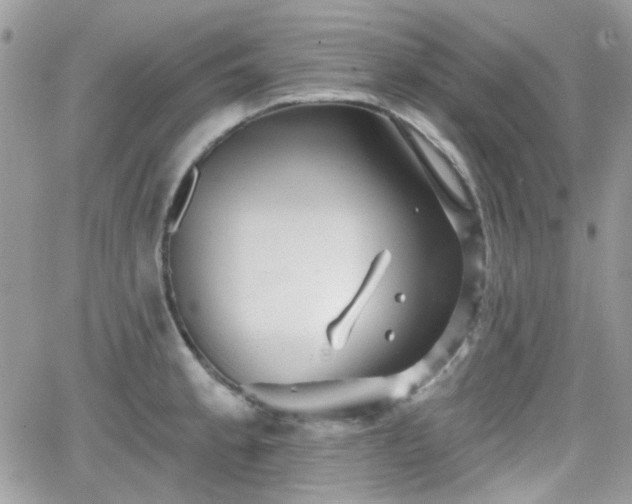 X0000066971189200603271200