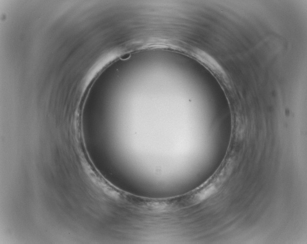 X0000066971190200603271200