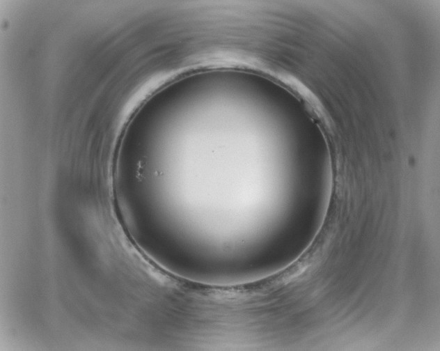 X0000066971191200603271200