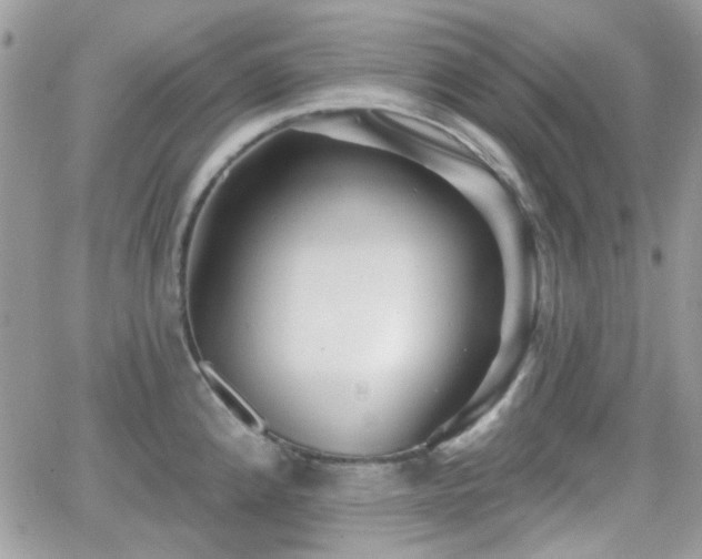 X0000066971192200603271200