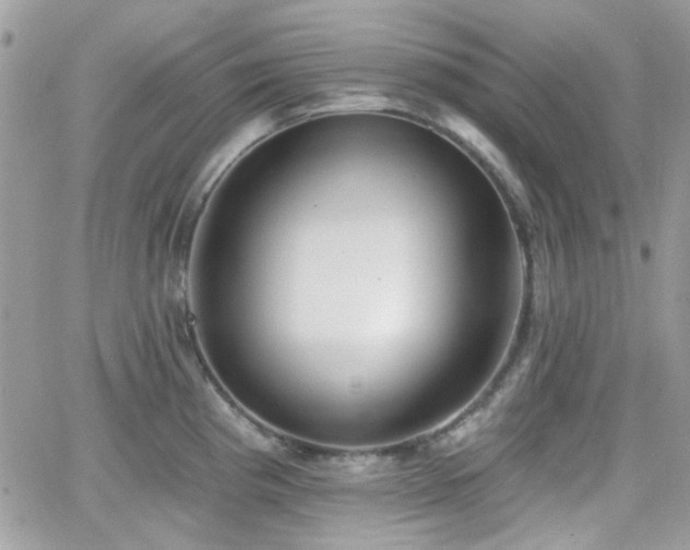 X0000066971193200603271200