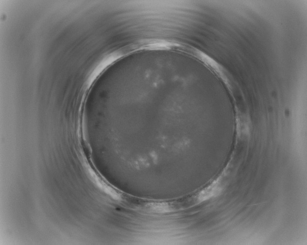 X0000066971194200603271200