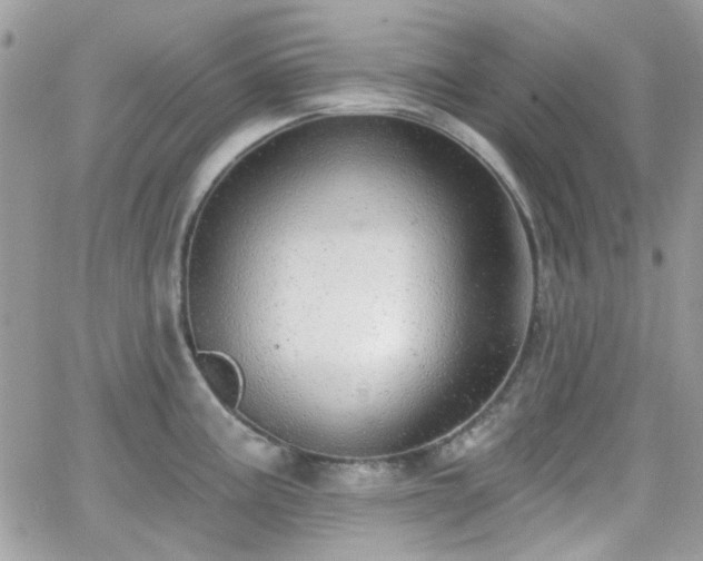 X0000066971195200603271200