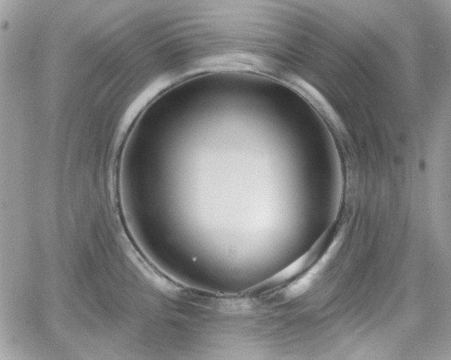 X0000066971196200603271200