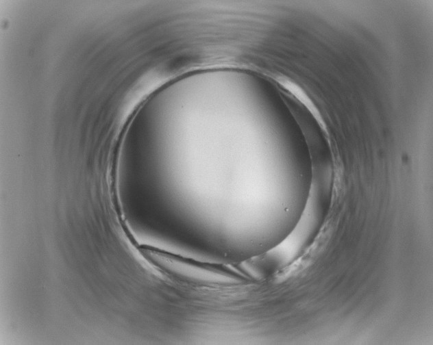 X0000066971197200603271200