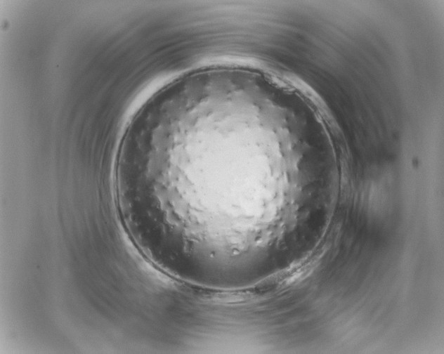 X0000066971199200603271200