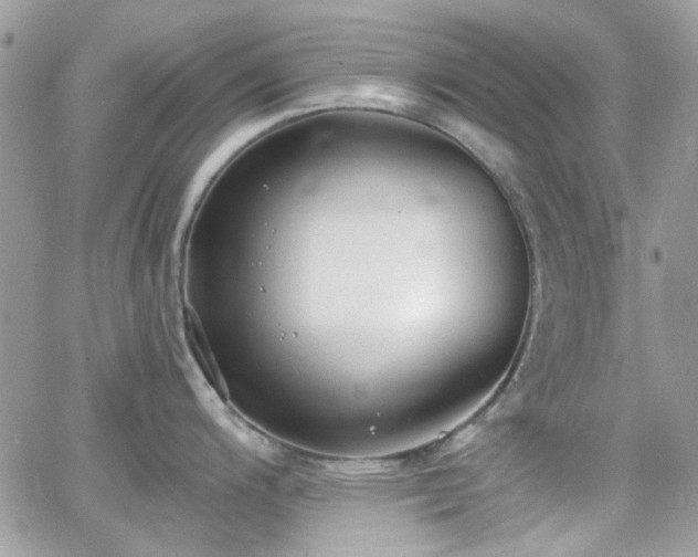 X0000066971200200603271200