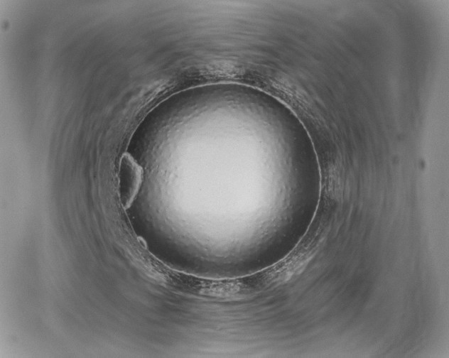 X0000066971201200603271159