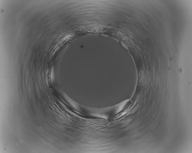 X0000066971202200603271159