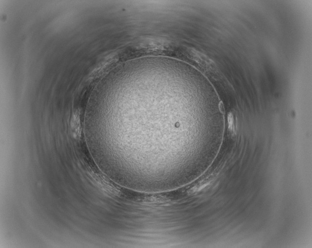 X0000066971203200603271159