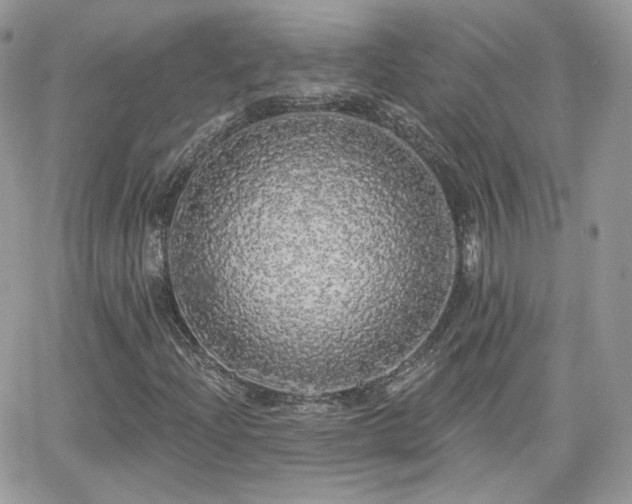 X0000066971204200603271159