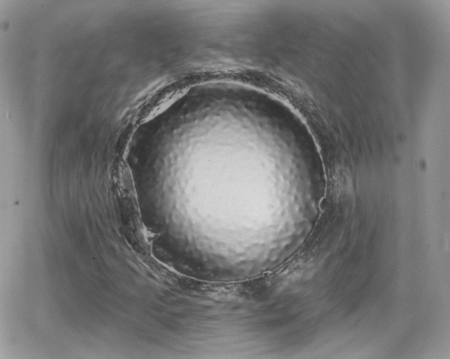 X0000066971205200603271159