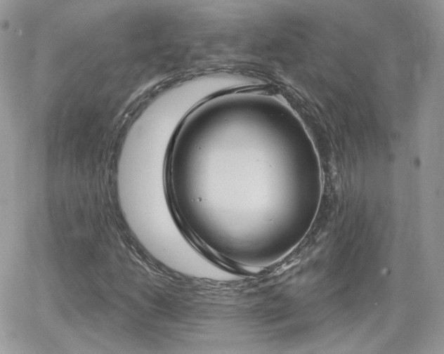 X0000066971206200603271159