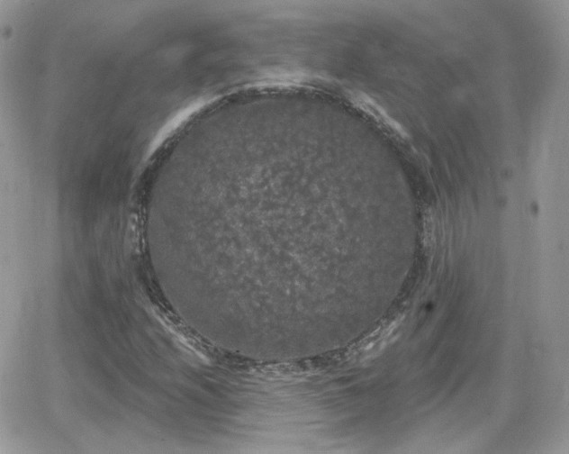 X0000066971208200603271159