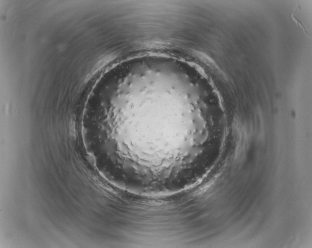 X0000066971209200603271159