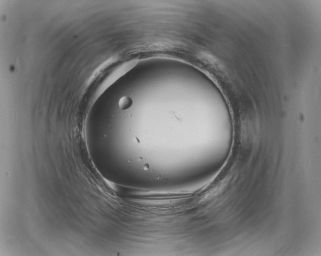 X0000066971210200603271159