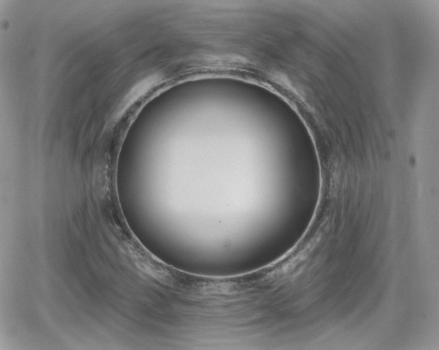 X0000066971211200603271159