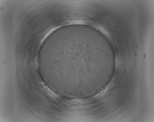 X0000066971212200603271159