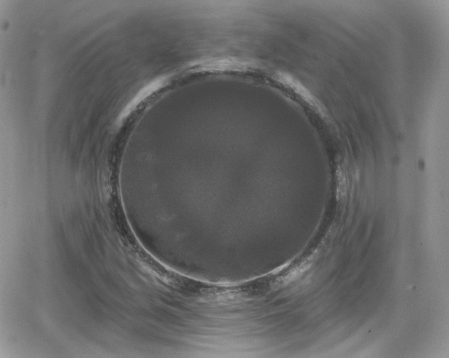 X0000066971213200603271159