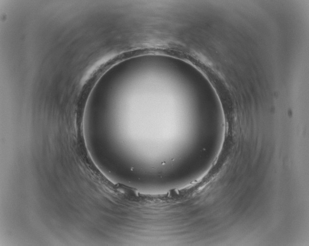 X0000066971214200603271159