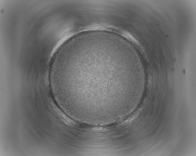 X0000066971216200603271159