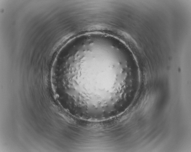 X0000066971217200603271159