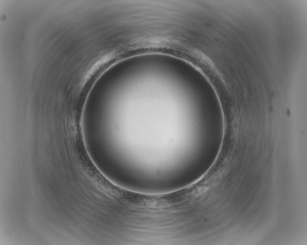 X0000066971218200603271159