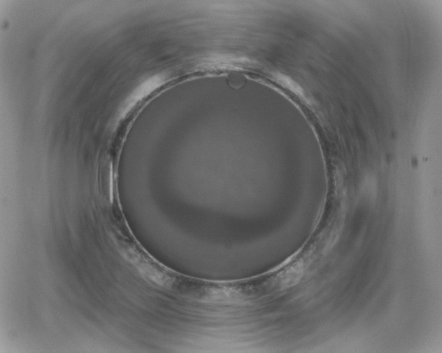 X0000066971219200603271159