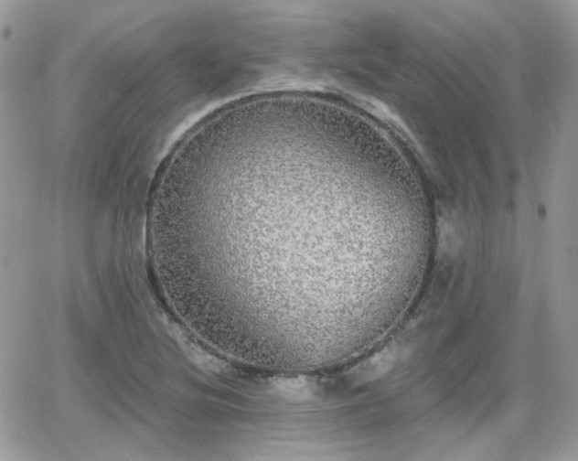 X0000066971220200603271200