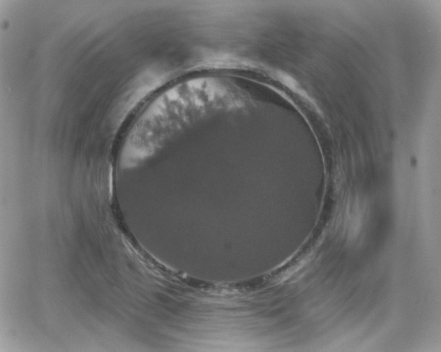 X0000066971221200603271200