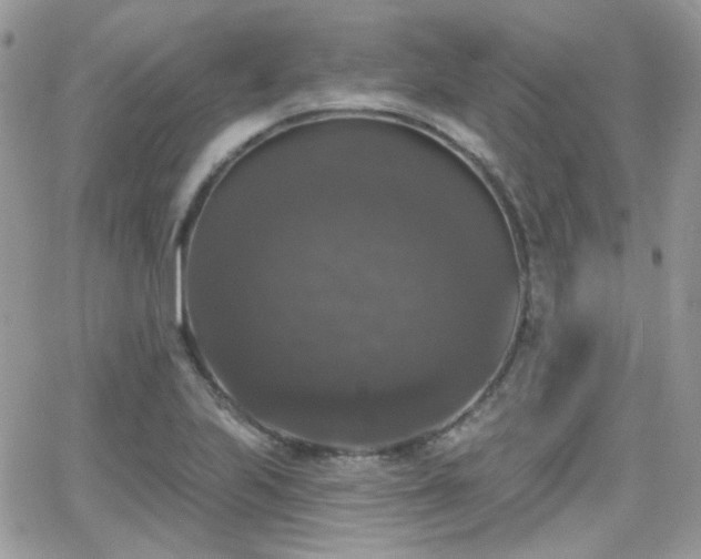 X0000066971223200603271200