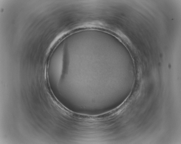 X0000066971224200603271200