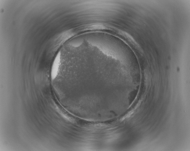 X0000066971225200603271200