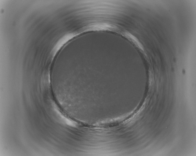 X0000066971226200603271200